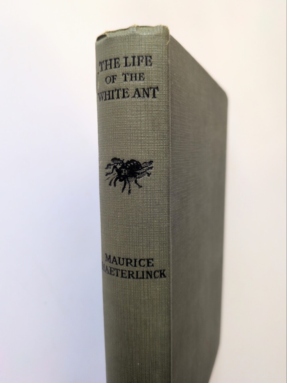 The Life of the White Ant - 1928